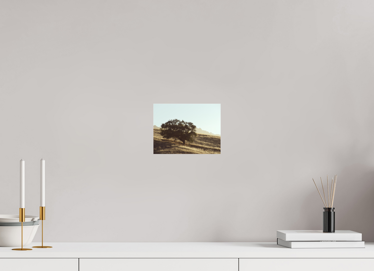 8 x 6″, Photo Print Under Acrylic Glass Hillside Tree