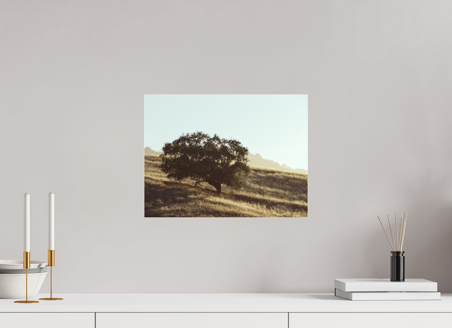 16 x 12″, Photo Print Under Acrylic Glass Hillside Tree