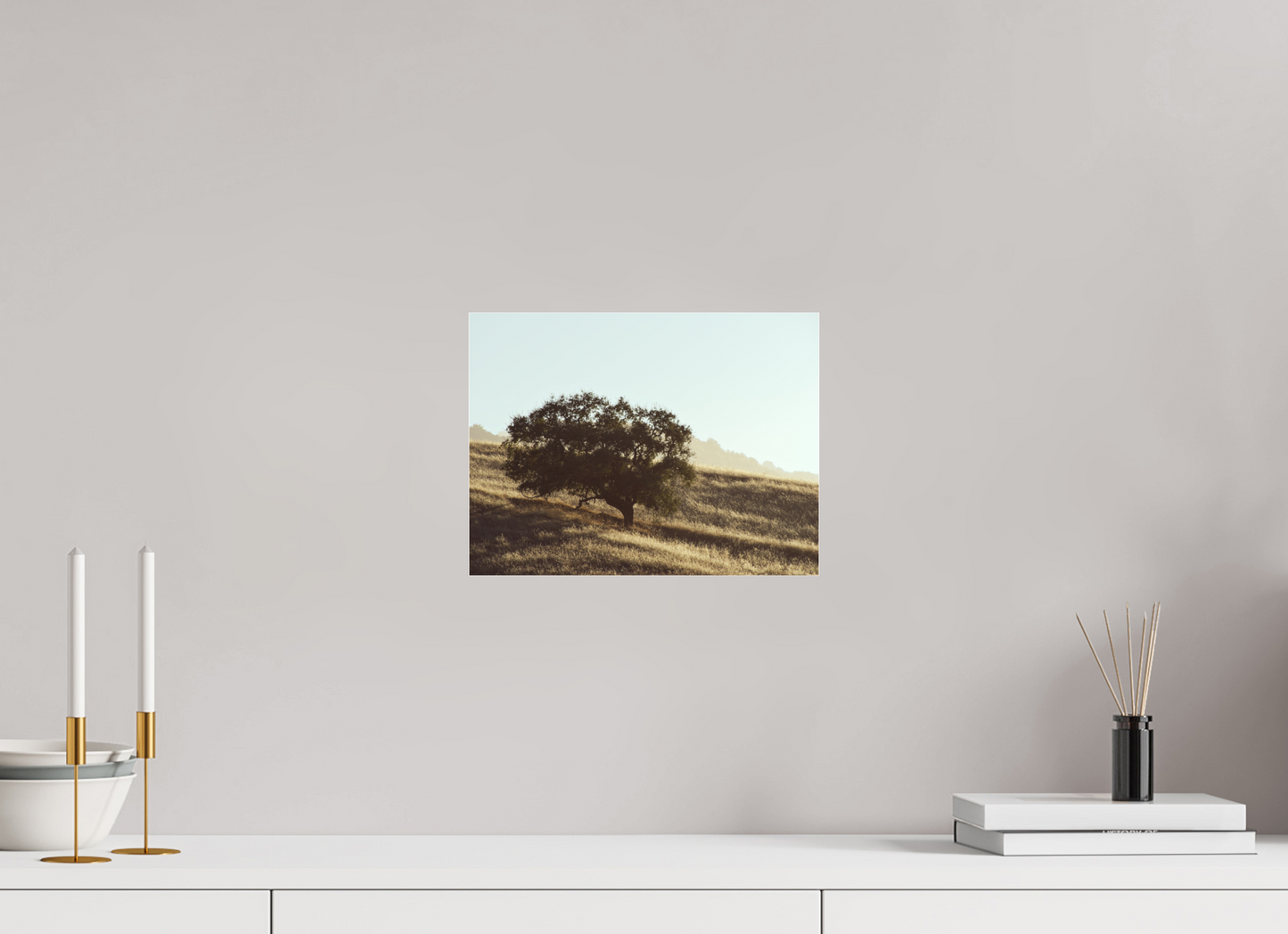 12 x 9″, Photo Print Under Acrylic Glass Hillside Tree